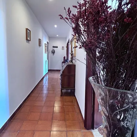 Sonia Trastevere Apartment *